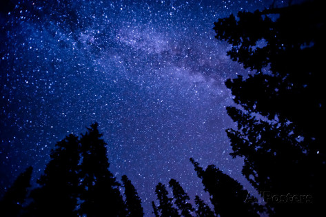 lynn-midford-photography-milky-way