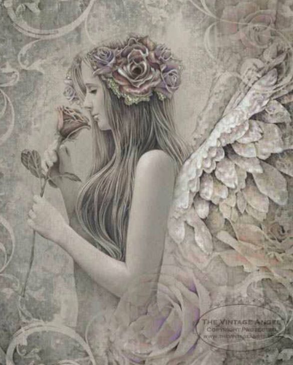 d946ec6842e765118e0de77e0fed797d