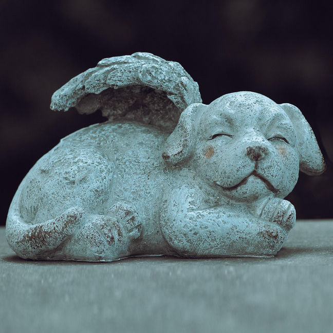 Embracing gifts
